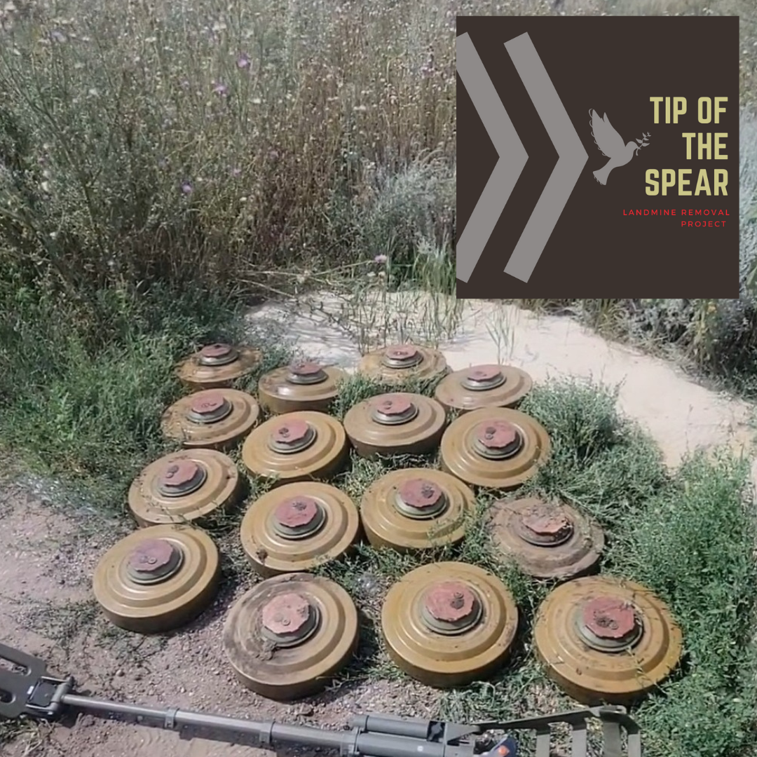 Help Support Landmine Removal in Ukraine!